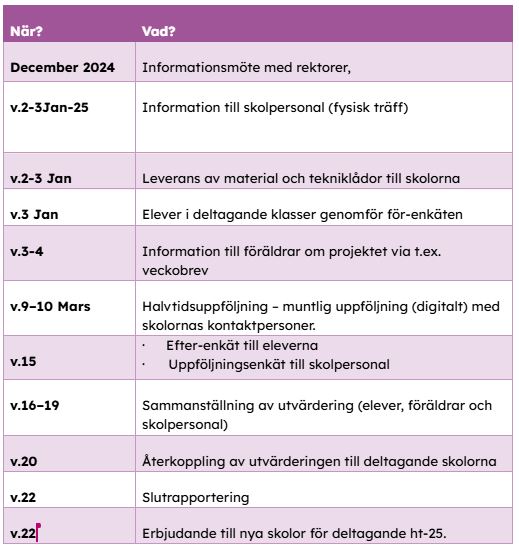 Tidplan pilot